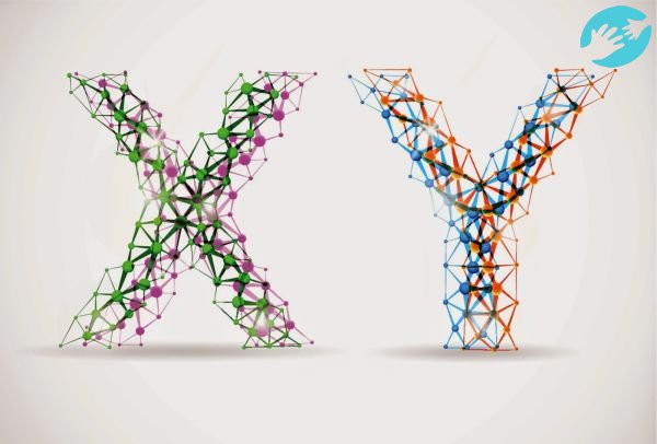 Калькулятор рассчитывает пол ребенка, основываясь на различии X и Y-хромосом