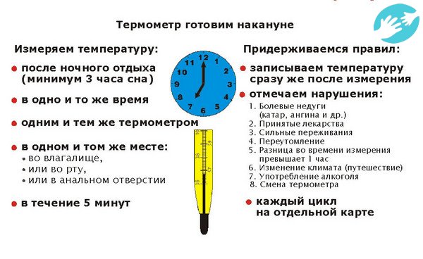 Гинекологи на вопрос как правильно мерить базальную температуру для определения овуляции, отвечают, ее нужно мерить сразу после пробуждения в утренние часы, предварительно подготовив график, ручку и градусник