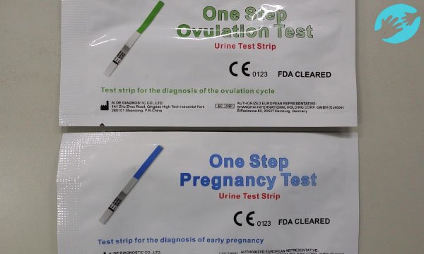 Тесты на овуляцию и беременность очень похожи, различия в реагентах, которыми пропитаны тест-полоски