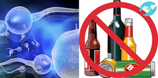 Одной из основных причин криптозооспермии является нездоровое питание и употребление алкоголя