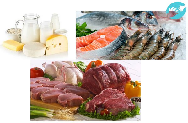 Повысить вероятность забеременеть двойней помогает добавление в рацион: мяса, рыбы, молока и фруктов