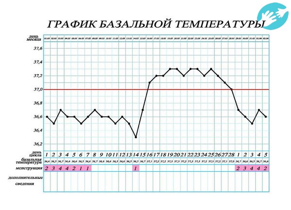 Градусник для базальной температуры нужен для определения температуры в различные дни цикла