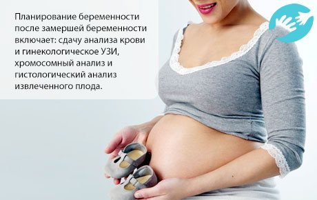После замершей беременности период восстановления составляет не менее 6-ти месяцев